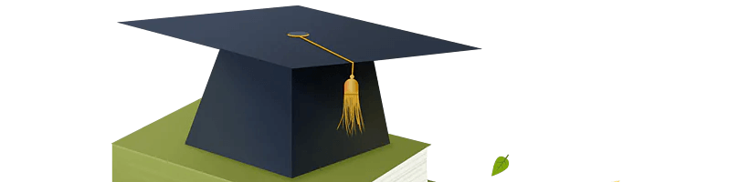 ESSAY写作技巧 ，教你如何写出高分的英文论文！